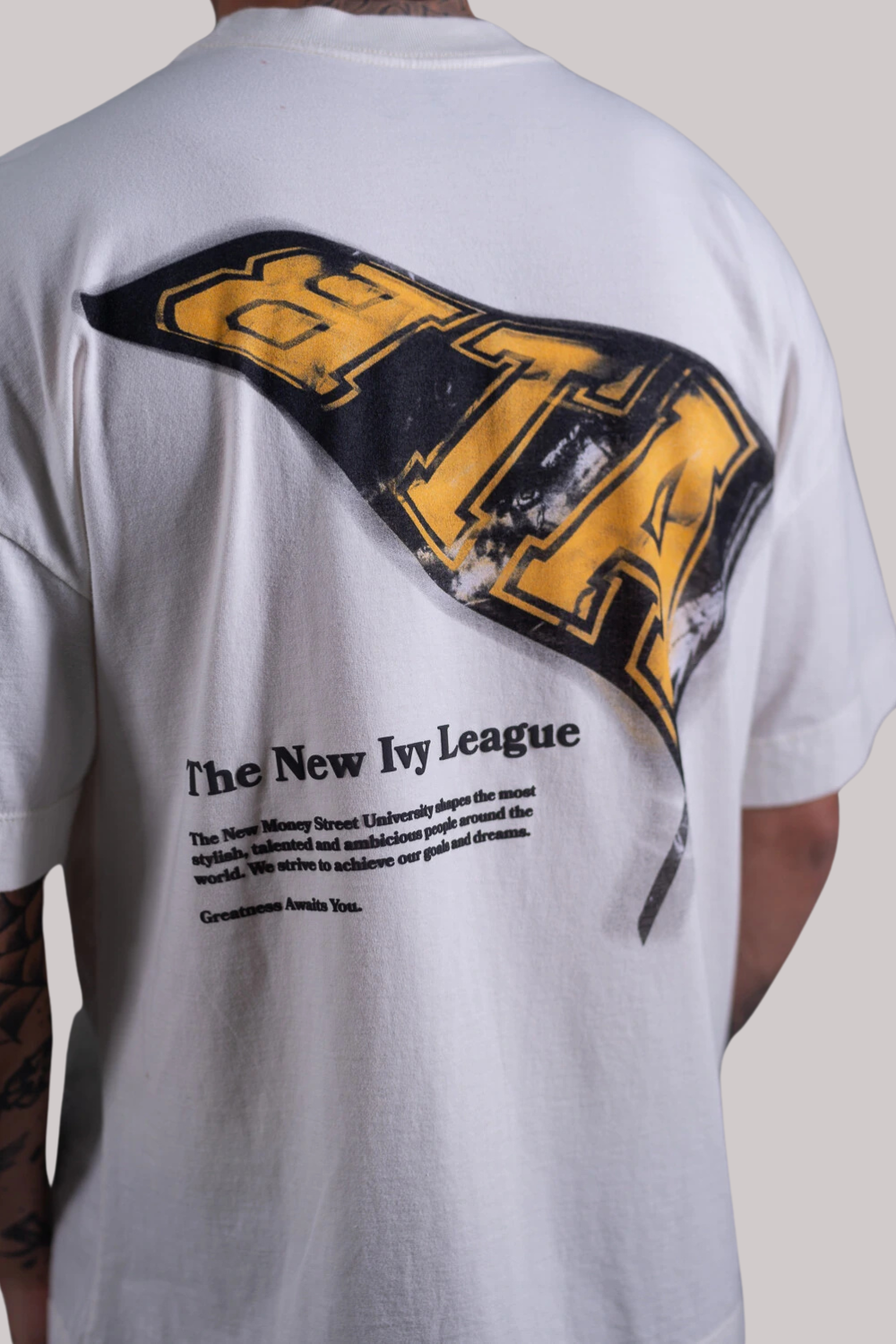 CAMISETA ALLTRIBE OVERSIZED PENNANT-NEW MONEY